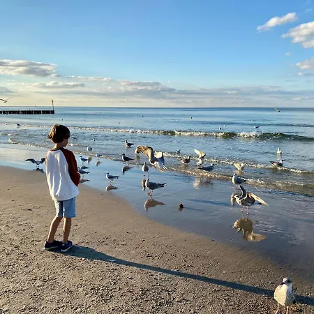 Faro Nadmorskie Tarasy Baseny W Cenie Pools Inklusive 100m From The Apartment